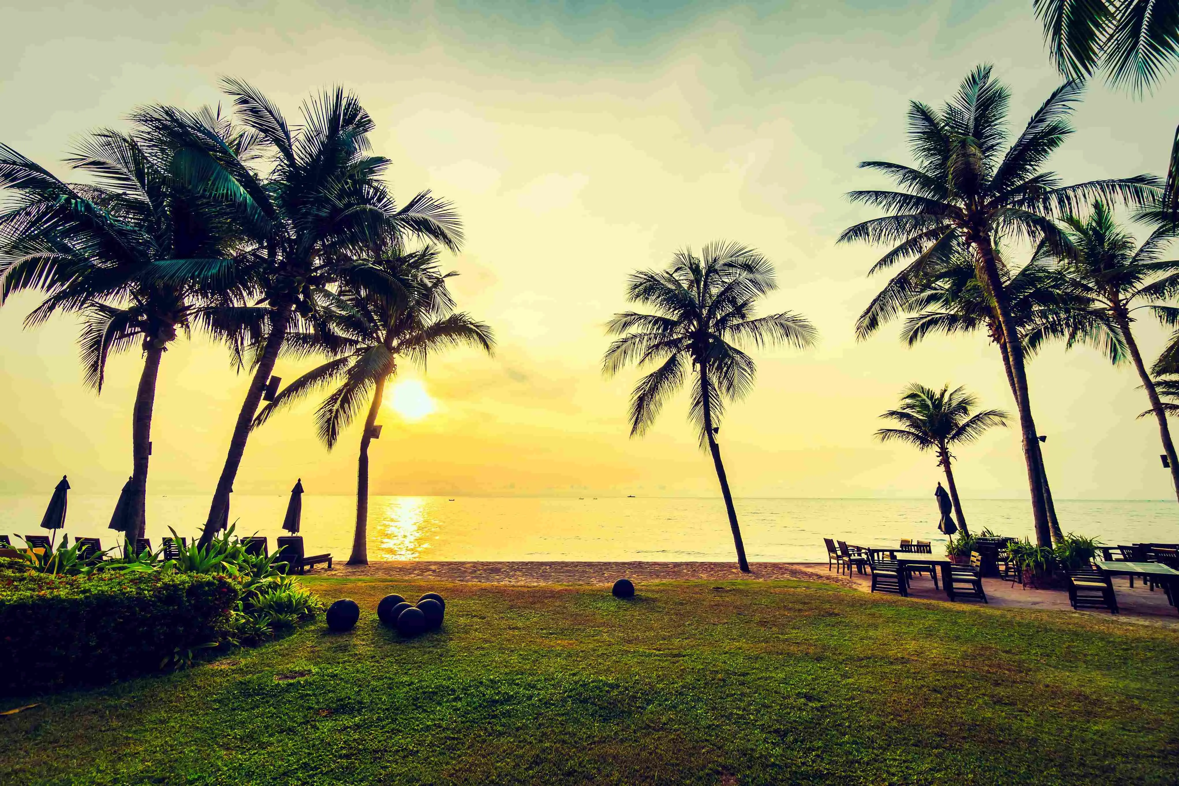 Travel Image